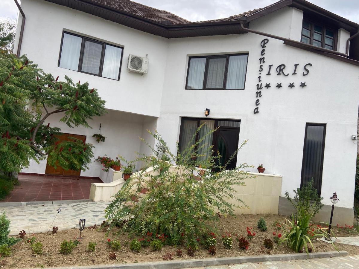 Pensiunea Iris Turcinesti ภายนอก รูปภาพ